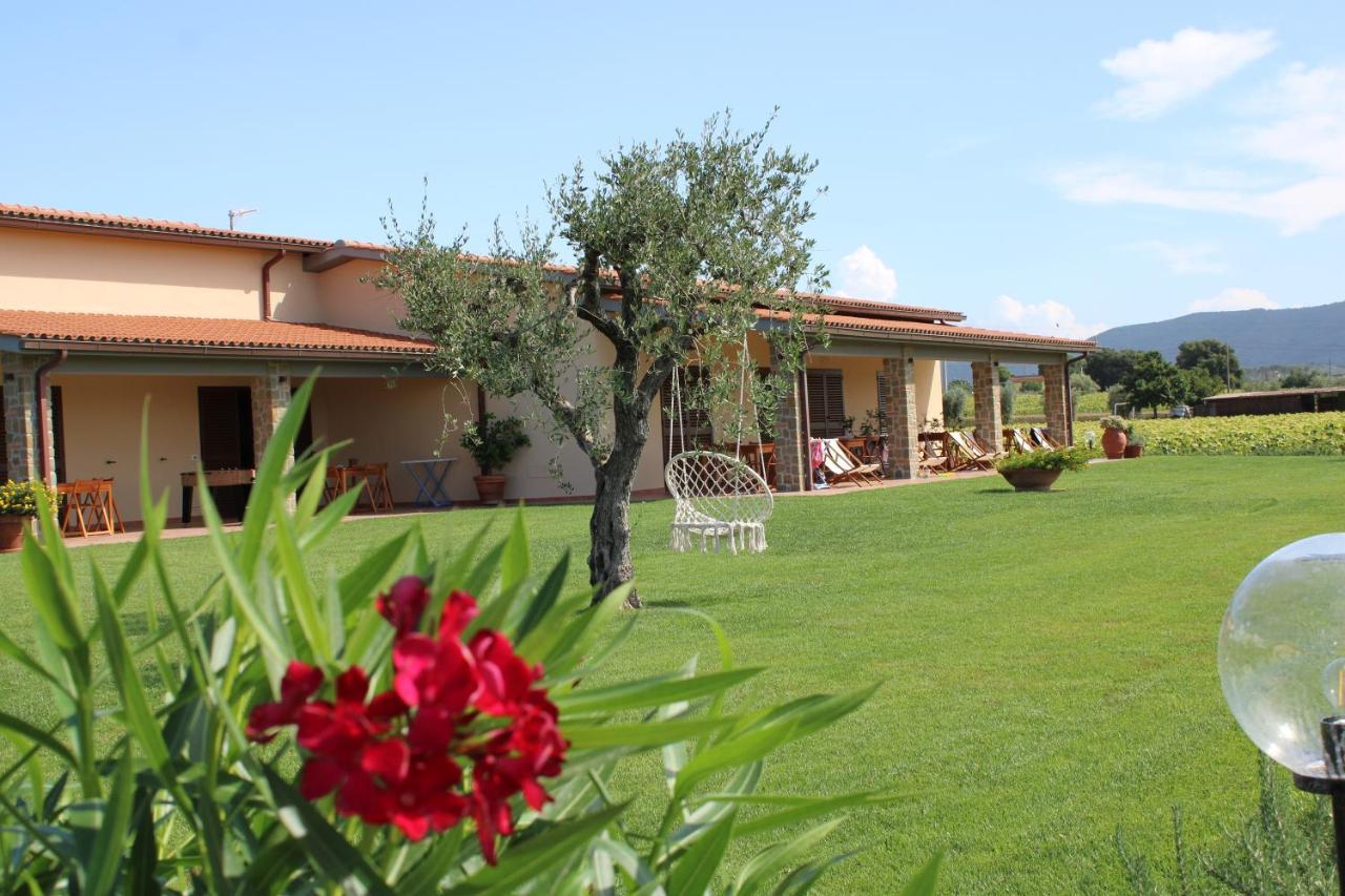 Agriturismo Il Vecchio Mandorlo كاستيغليون ديلا بيسكايا المظهر الخارجي الصورة