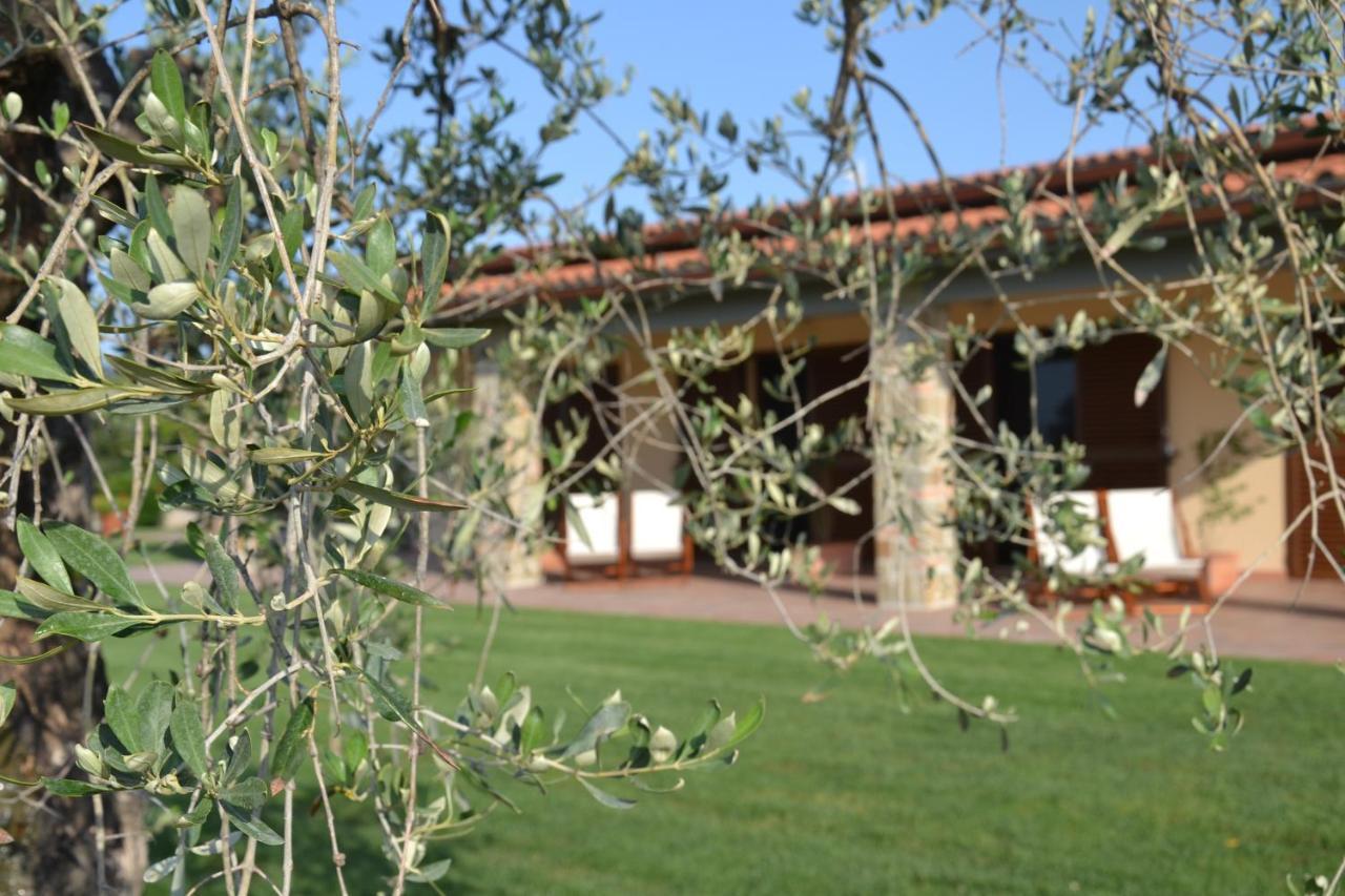 Agriturismo Il Vecchio Mandorlo كاستيغليون ديلا بيسكايا المظهر الخارجي الصورة