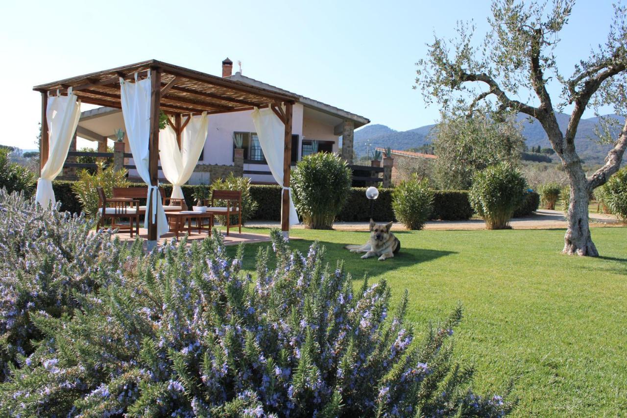 Agriturismo Il Vecchio Mandorlo كاستيغليون ديلا بيسكايا المظهر الخارجي الصورة
